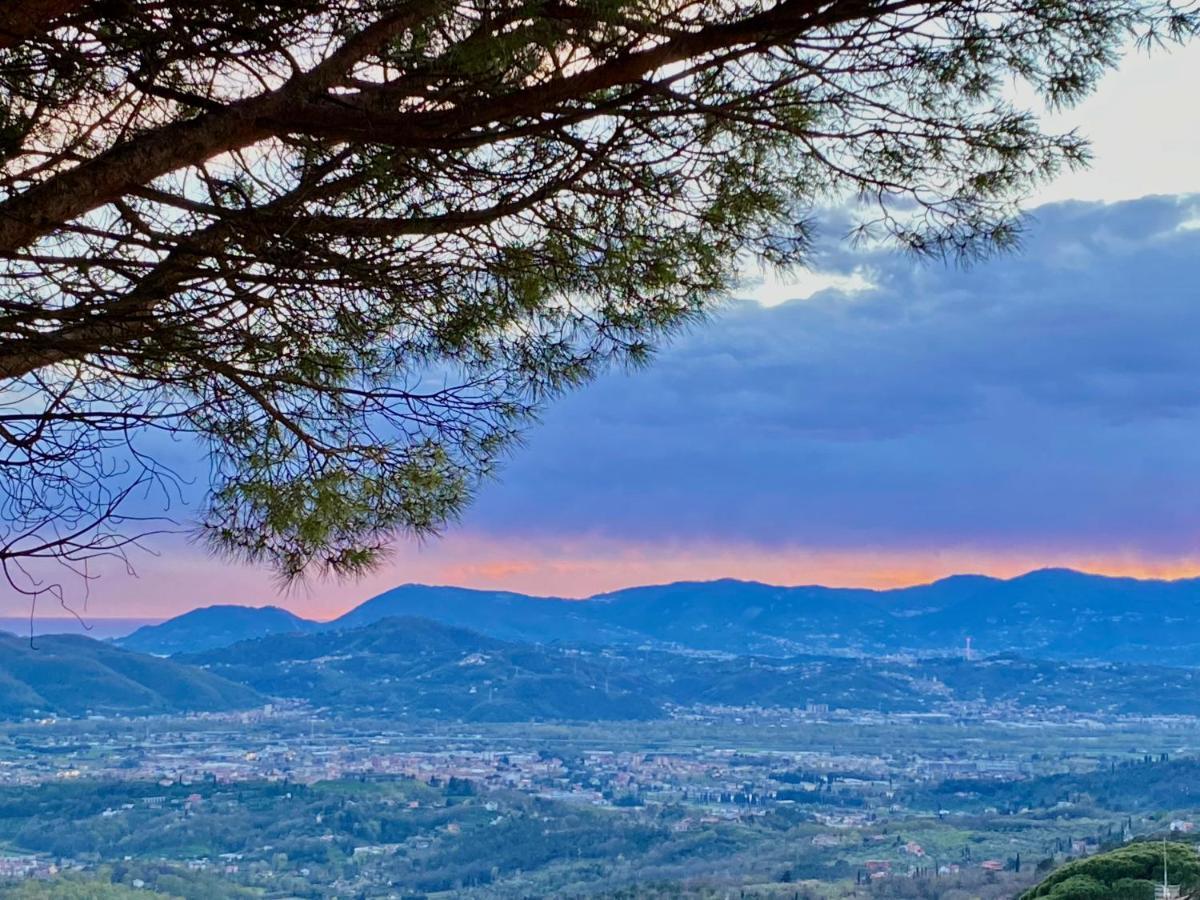 La Ginestra B&B Fosdinovo Esterno foto