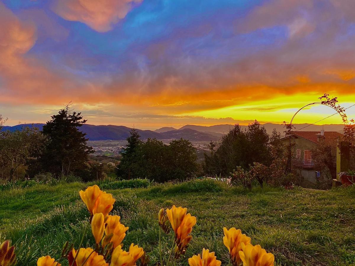 La Ginestra B&B Fosdinovo Esterno foto