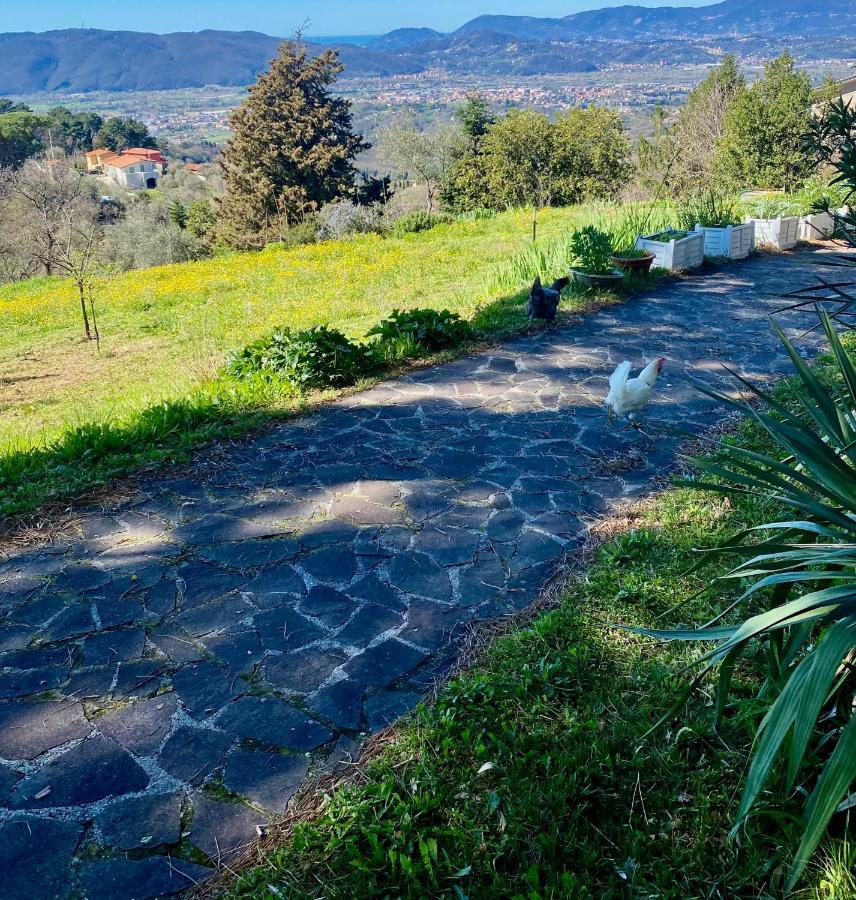 La Ginestra B&B Fosdinovo Esterno foto